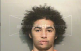 Brian Michael Peterson