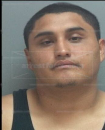 Joe Alaniz