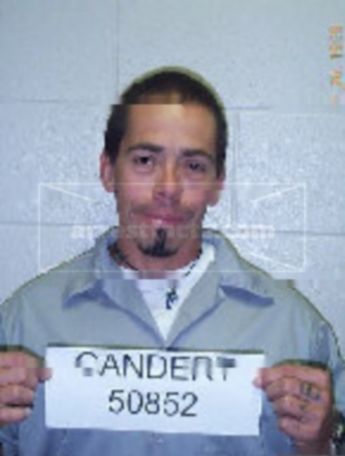 Andrew Gandert
