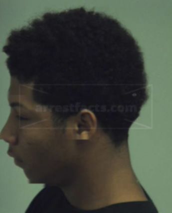 Julius Cowart Amos