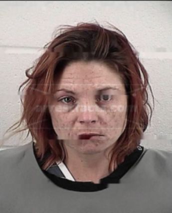 Lisa Faye Steelman