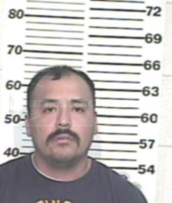 Rogelio Palomarez Rodriguez