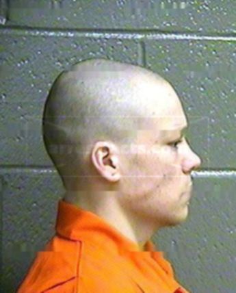 Triston D Newsom