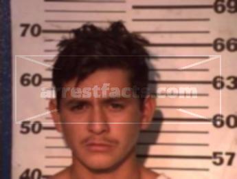 Luis Javier Alvarado Santana