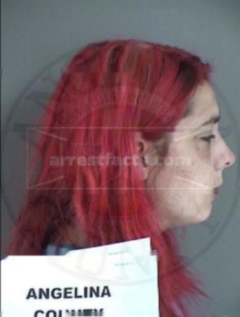 Brittany Nicole Edwards
