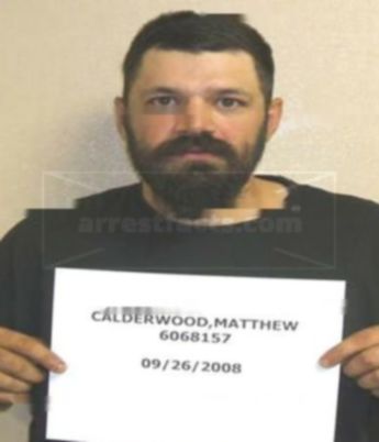 Matthew E Calderwood