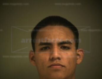 Armando Aart Trevino Mata