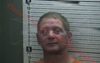 Nicholas D Stephens