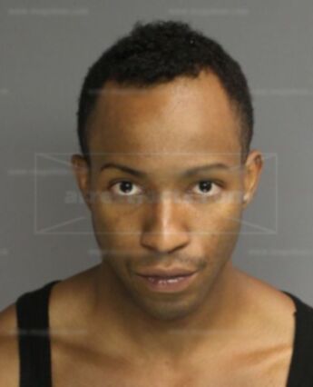 Arian C Phillips