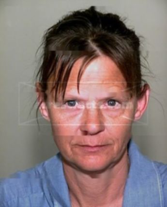 Rhonda L Perlberg