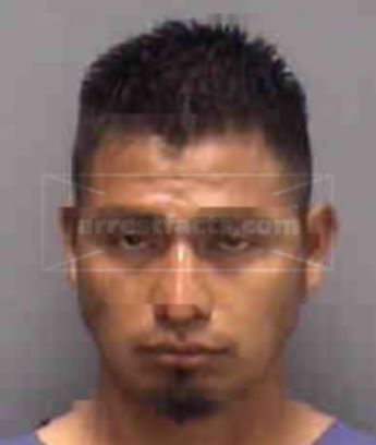 Regino Flores-Mendoza