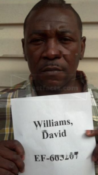 David Williams