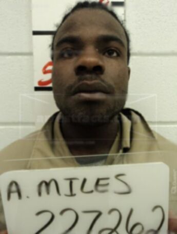 Anthony L Miles