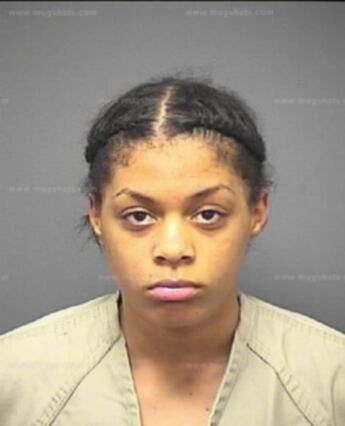 Ashley Leshelle Mckinney