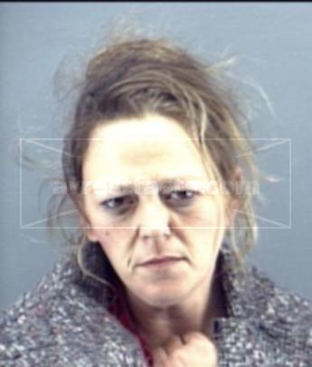 Sandy Lee Lanier