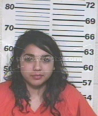 Jeanette Villarreal Castro