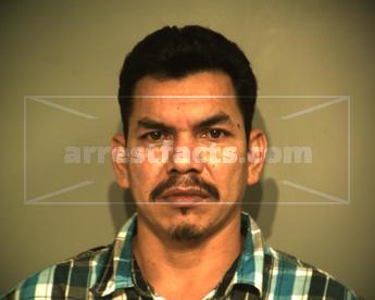 Moises Junior Flores