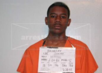 Lee Avery Brinkley