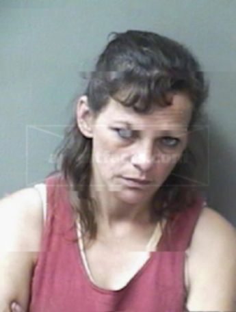 Debbie Dianne King