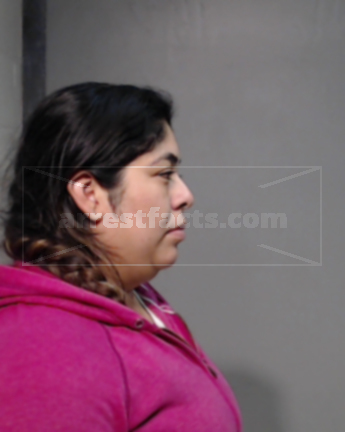 Elva Citlali Becerra