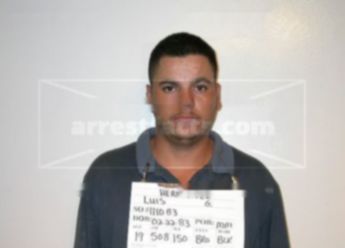 Luis G Hernandez