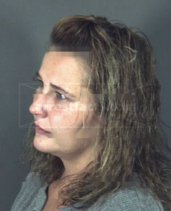 Tonya Elaine Parlier