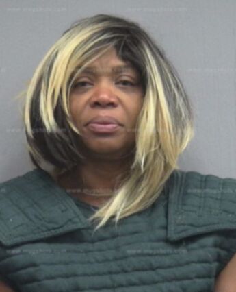 Shirley Ann Cook