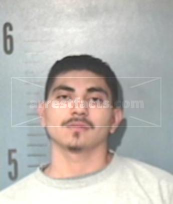Francisco Andres Omar Flores