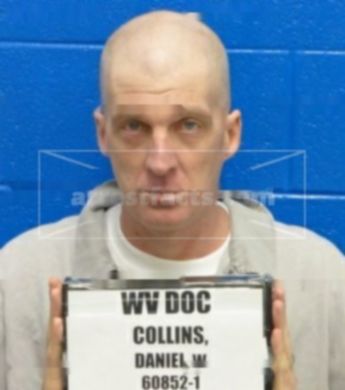 Daniel W Collins
