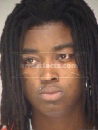 Tiffany Darche Johnson