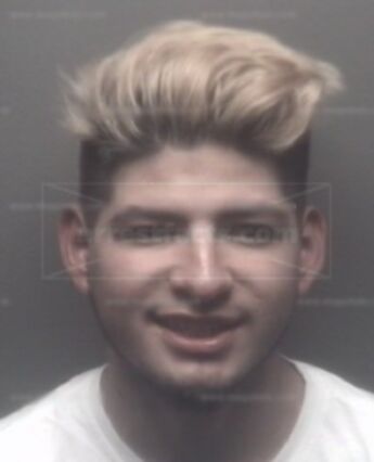 Diego Alvarado-Mendoza