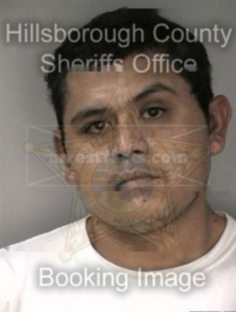 Jose Dolores Noriega Jr.