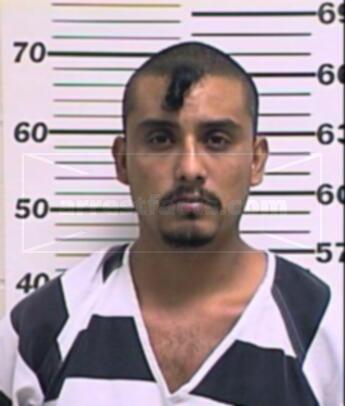 Jesus Alberto Castillo