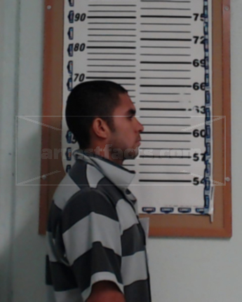 Henry Danilo Flores-Vidal