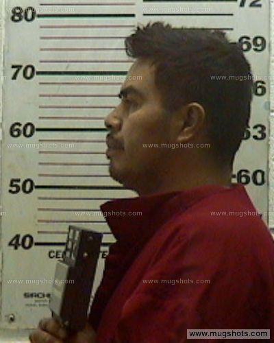 Nestor J Martinez