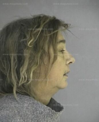 Cynthia Ann Farris