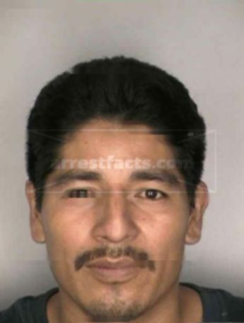 Gordillo Zamorano Trinidad