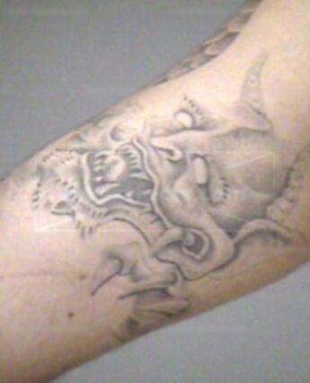 Adam M Venegas