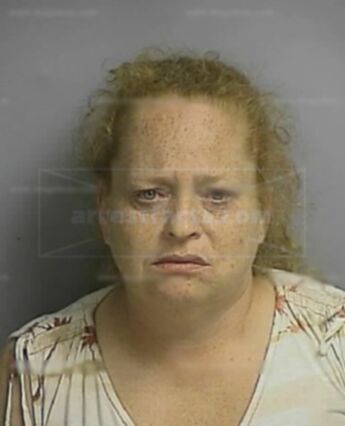 Terry Ann Schwank