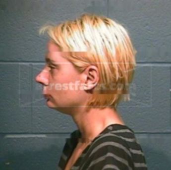 Schanda Michele Ingram