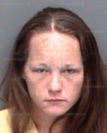 Sandra Lee Mcdonald