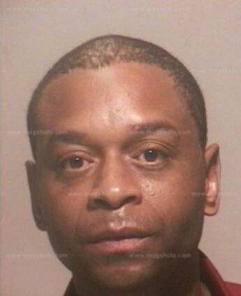 Diamond Scott Catten