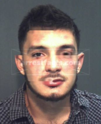 Brandon Tanner Hollis