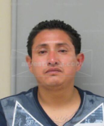 Jose C Guillen