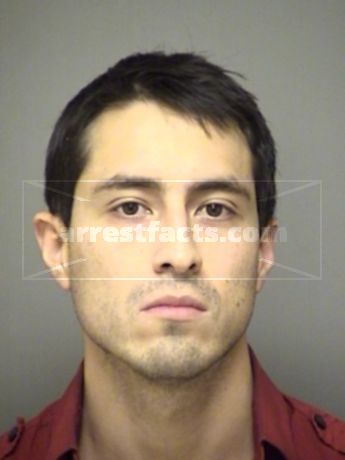 Taylor Ray Salinas
