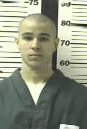Nicholas P Young