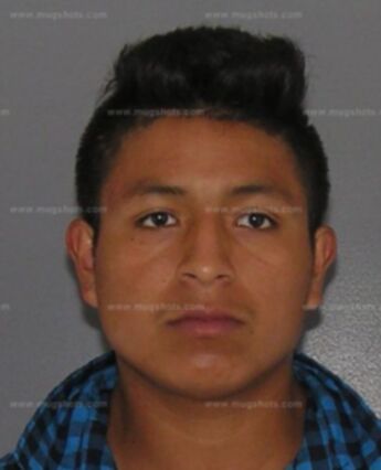 Armando Morales