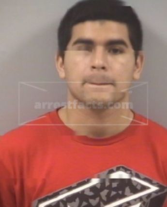 Christian Segovia Flores