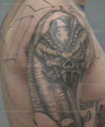 Joseph Rocha