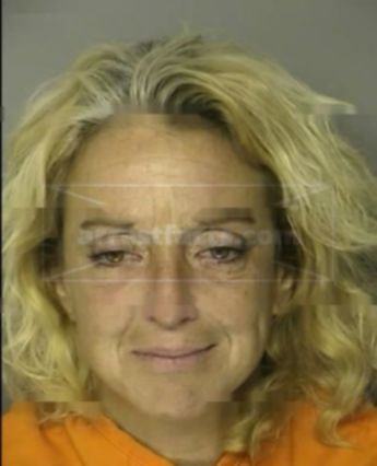 Michele Rene Wood Lawson